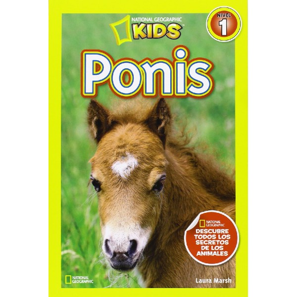 PONIS NIVEL 1