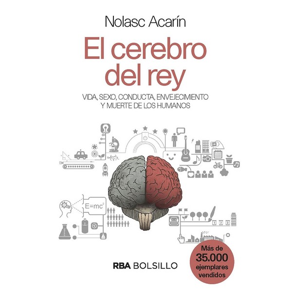 EL CEREBRO DEL REY