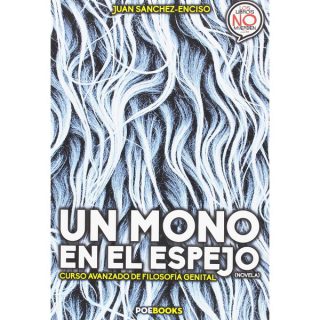 UN MONO EN EL ESPEJO
