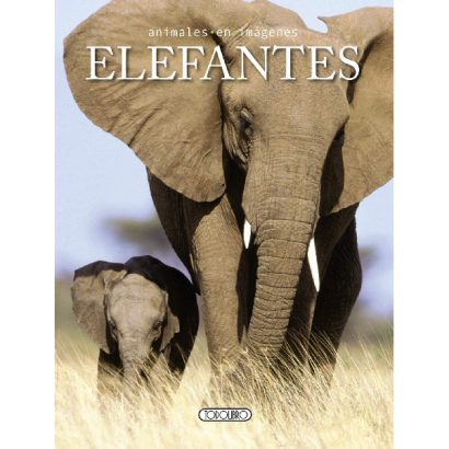 ELEFANTES ANIMALES EN IMAGENES