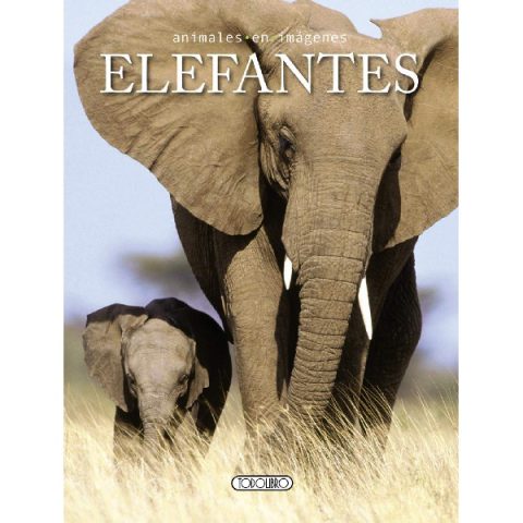 ELEFANTES ANIMALES EN IMAGENES