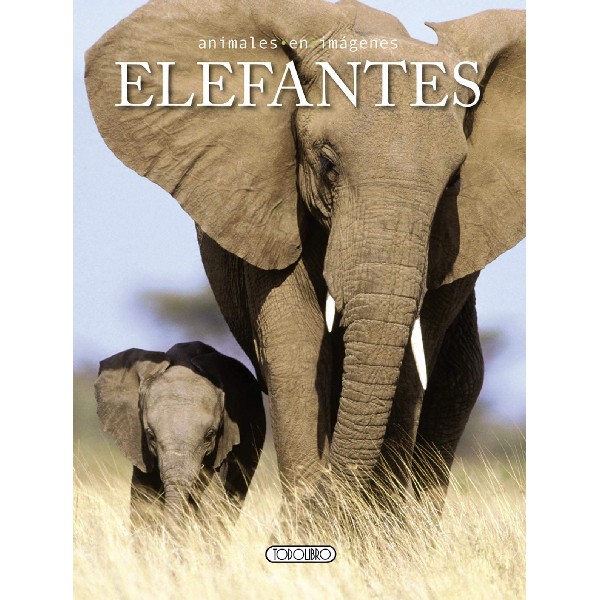 ELEFANTES ANIMALES EN IMAGENES