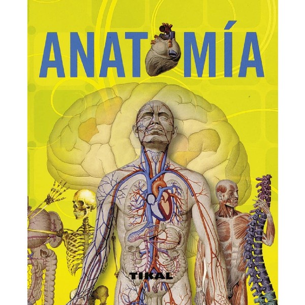 ANATOMIA ENCICLOPEDIA UNIVERSAL