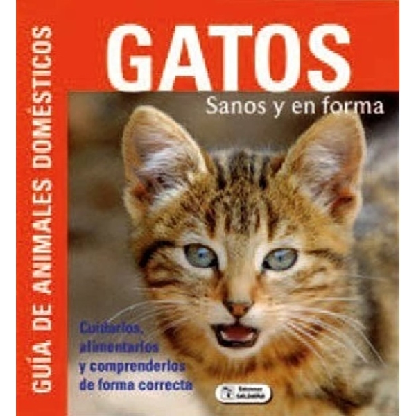 GATOS GUIA DE ANIMALES DOMESTICOS