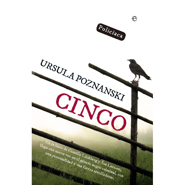 CINCO
