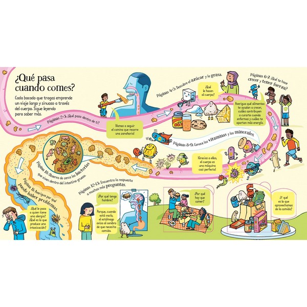 QUE PASA CUANDO COMES MIRA DEBAJO CON SOLAPAS - Imagen 2