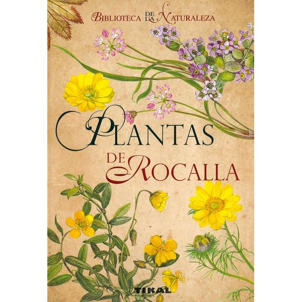 PLANTAS DE ROCALLA
