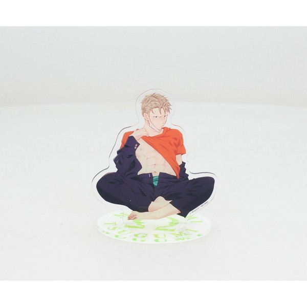 MEGUMI Y TSUGUMI FIGURA ACRILICA