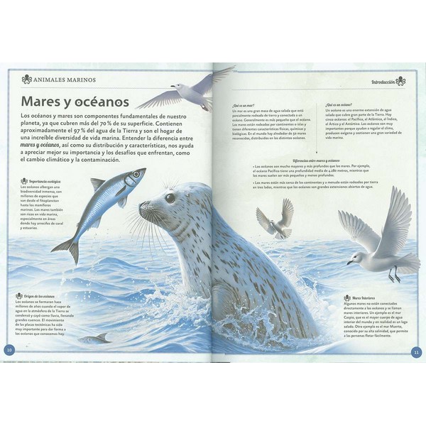 EL MAGNIFICO LIBRO DE LOS ANIMALES MARINOS - Imagen 2