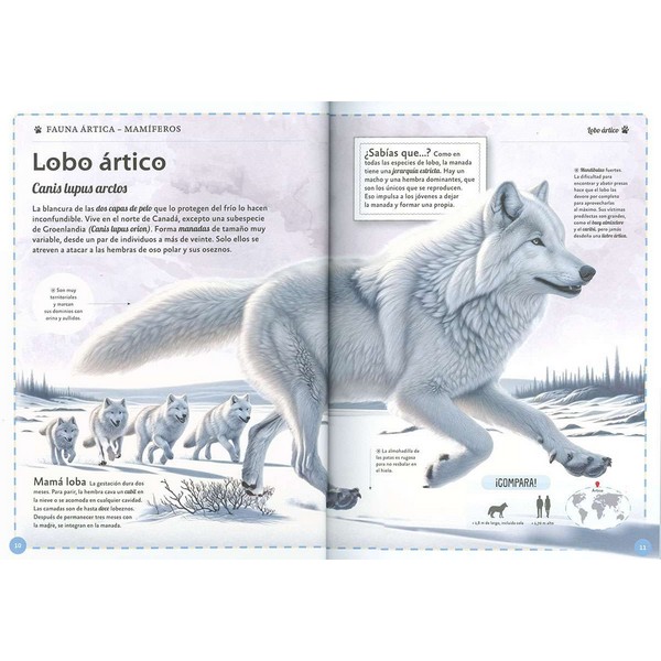 EL MAGNIFICO LIBRO DE LOS ANIMALES POLARES - Imagen 2