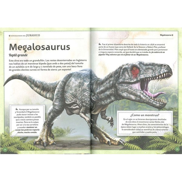 EL MAGNIFICO LIBRO DE LOS DINOSAURIOS - Imagen 2