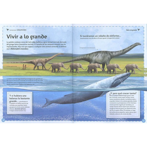 EL MAGNIFICO LIBRO DE LAS BALLENAS - Imagen 2