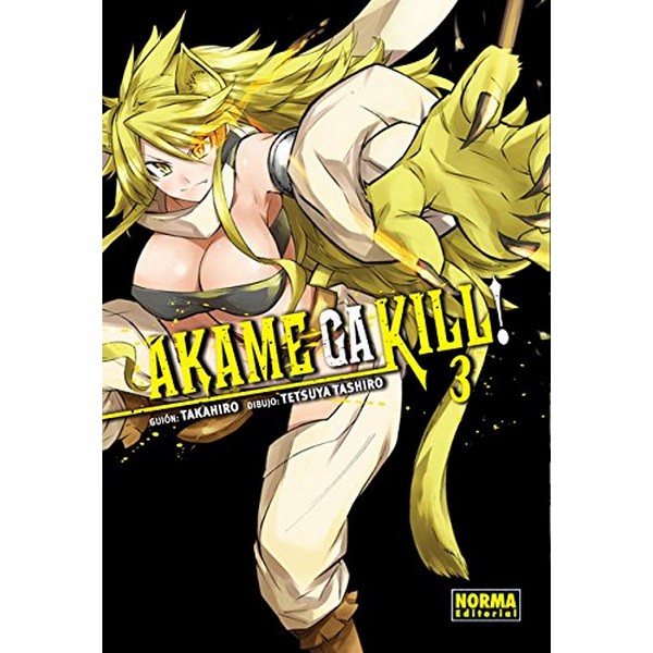 AKAME GA KILL 03