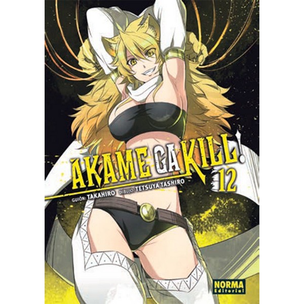 AKAME GA KILL 12